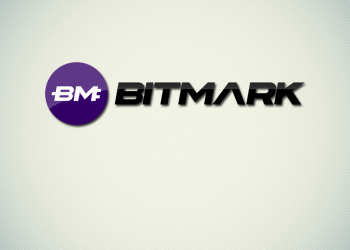 Interview with Bitmark Developers