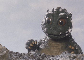 Bitcoin’s Compound Rewards