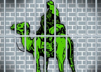 DoctorClu Arrested In Connection To The Silk Road 2.0 Case