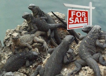 Lizard Squad Made $11,000 in BTC from DoSing