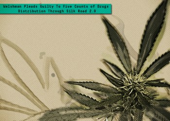 Welshman Pleads Guilty To Five Counts of Drugs Distribution Through Silk Road 2.0