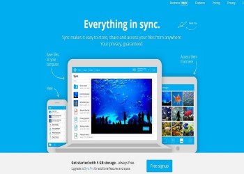 Sync Cloud Storage Now Accepts Bitcoin