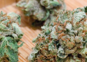 Tokken Puts the Legal Marijuana Industry on the Immutable Bitcoin Blockchain