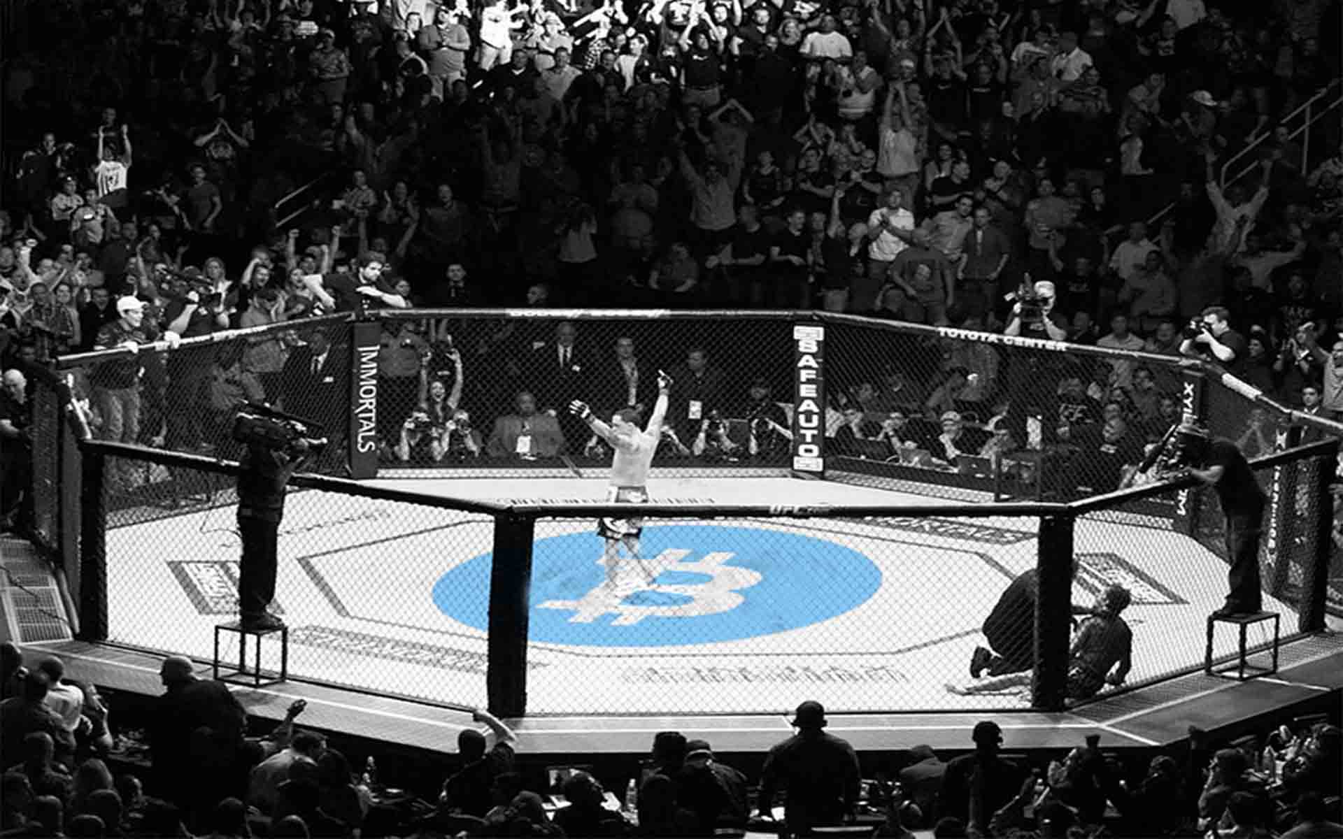 Apostas mma