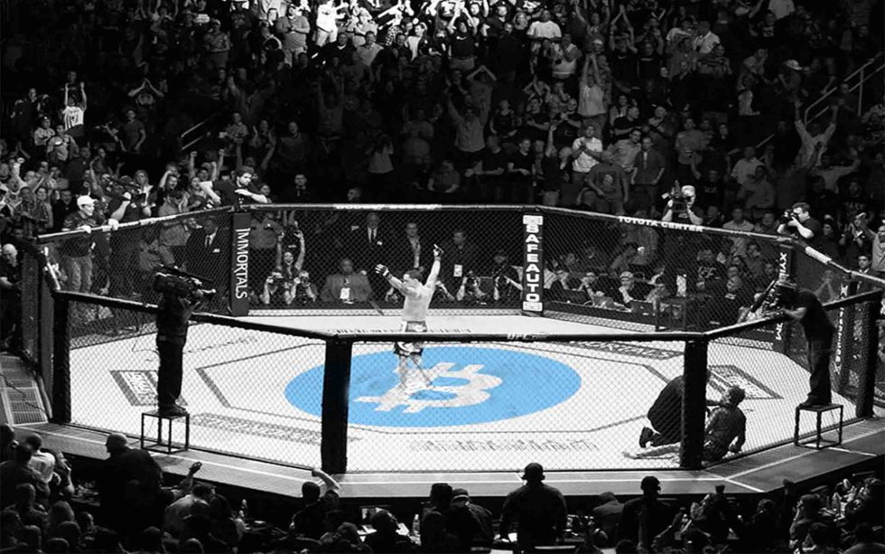 Apostas mma