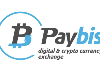 Paybis
