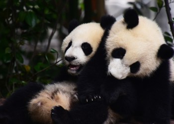 China Bitcoin Meetup Sees OTC Trading & Exchanges Work Side By Side