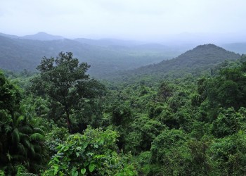 Avalon Life Puts Land Ownership on Blockchain, Launches GREEN EARTH ZERO Service with NEM Technology