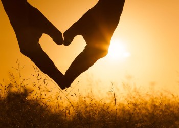 More Donors Give Bitcoin and Noncash Assets to Charities Than Actual Cash