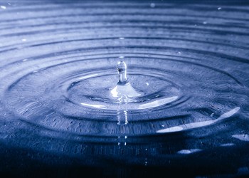 Ripple Outshines Bitcoin and Ethereum, Up Almost 4,000%