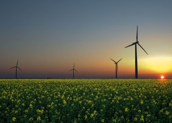 Blockchain-Powered Green Energy Startup WePower Announces Platform Launch and Fundraiser