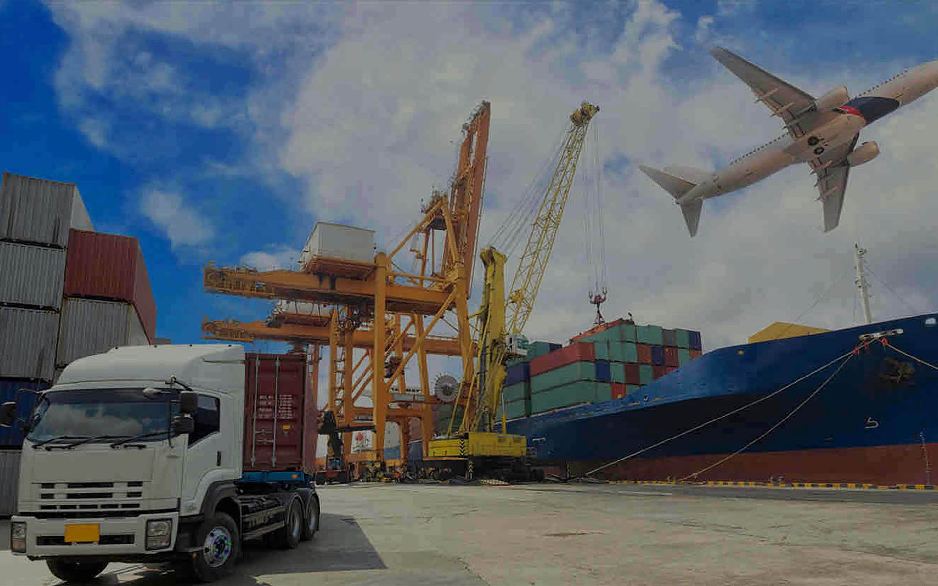 IMMLA Introduced Proof of Concept and Working Functionality of the Pre-Alpha Version of Its Platform