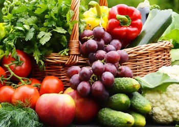 LavkaLavka’s BioCoin ICO Underway, Raises Nearly $500,000 in First 12 Hours