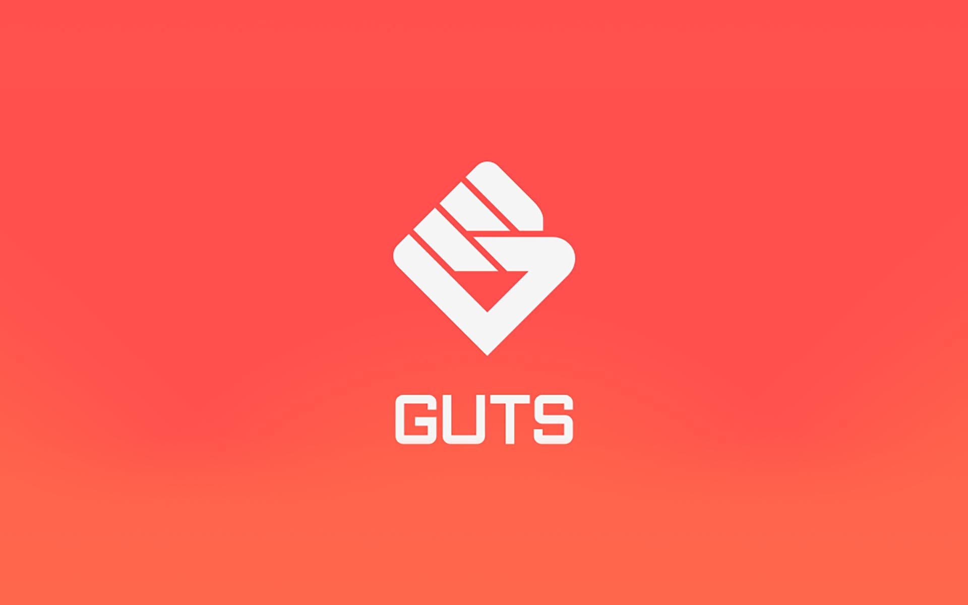 Honest Ticketing: Dutch Political Process Fails and GUTS ICO Raises $2.5m as a Result