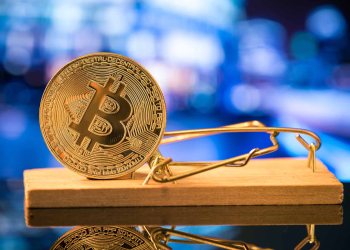 bitcoin price bull trap