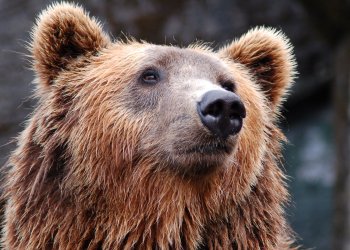 Russian Businessman Buys Power Plants for Cryptocurrency Mining