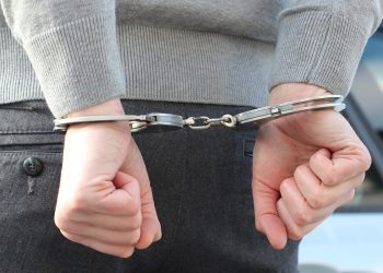 crypto seized from piracy expert