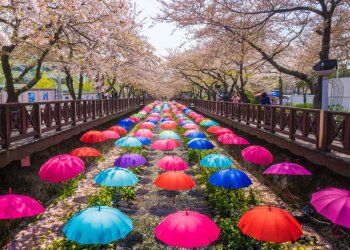 South Korea ‘Positively Considering’ Cryptocurrency Exchange Licenses