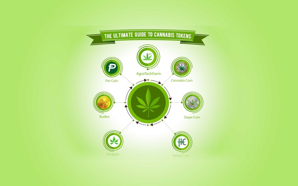 The Ultimate Guide to Cannabis Tokens