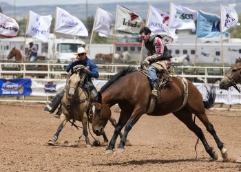 Wyoming classifies tokens