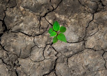 Brave New World: Why the Crypto Revolution Shapes the Modern Individual