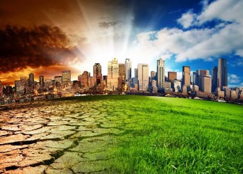 Fighting Pollution One Block at a Time