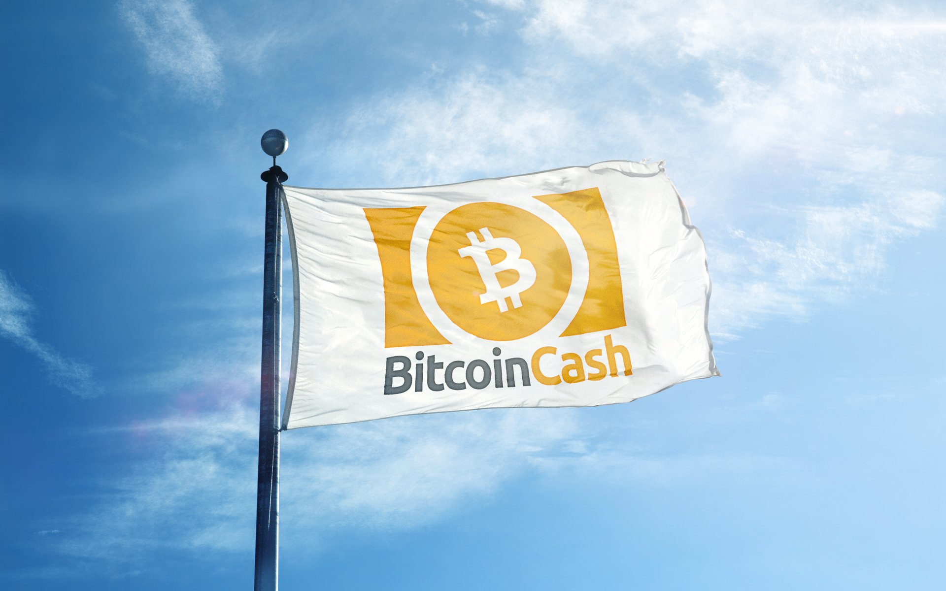 Bitcoin Cash