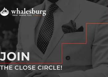 Whalesburg Effect: Mining Platform Causes Stir in Crypto Community