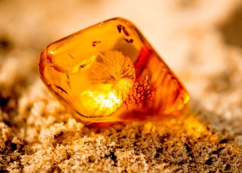 4 Reasons Why Bitcoin Will Become More Valuable