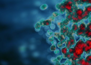 ‘Bitcoin Has Activated Its Immune System’: Bitcoin.com Lawsuit Opens Donations