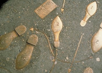 Two Steps Forward, One Step Back