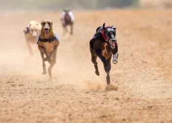 3 Altcoin Winners and a Loser for the Week