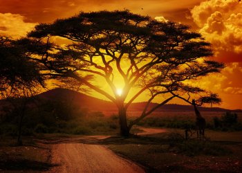 South Africa Cryptocurrency