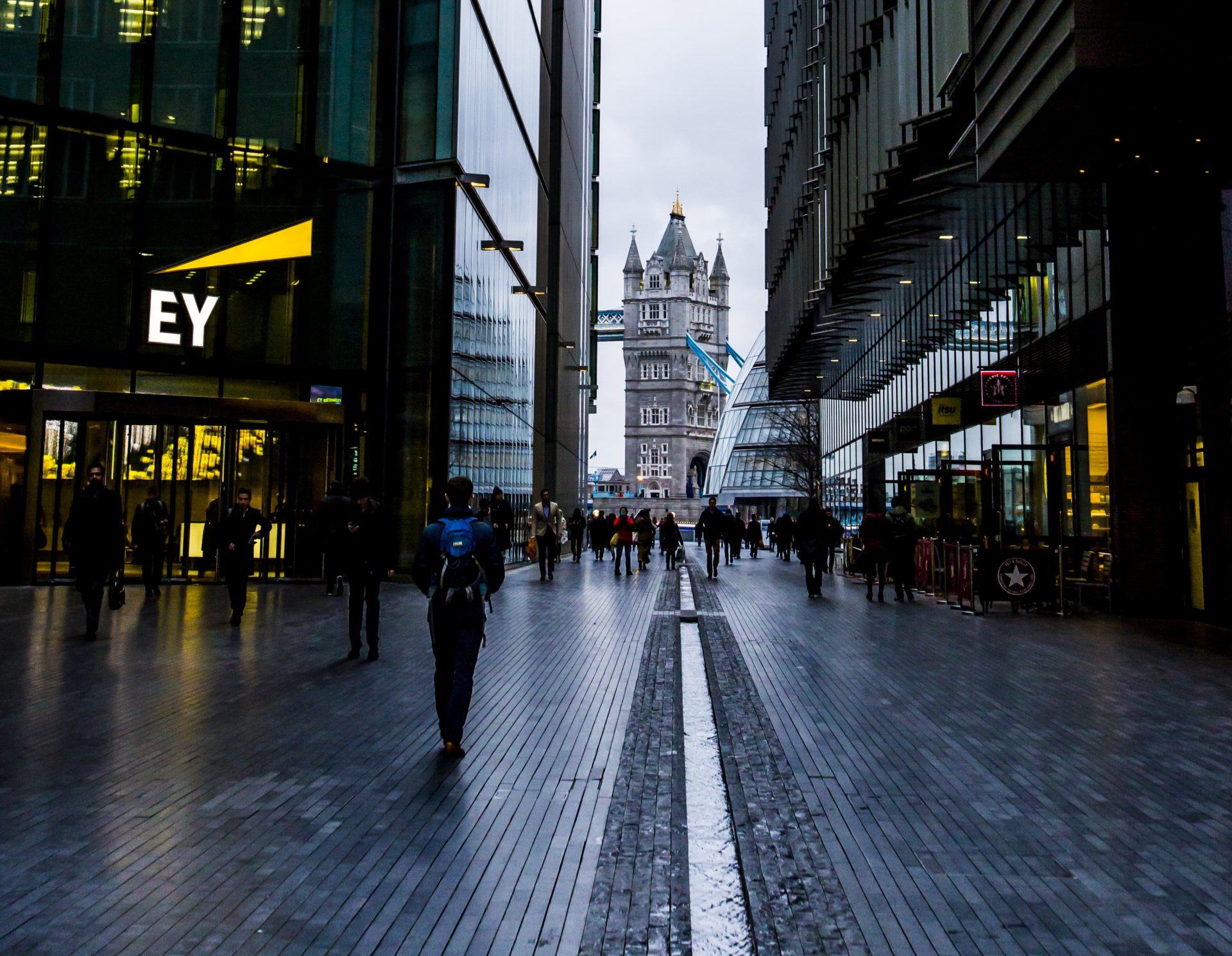 Ernst & Young Have Acquired Cryptocurrency Investment Software