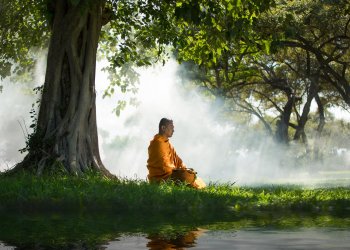 Bitcoin Price Defies SEC ETF Rejection – Sign of a Maturing Market?