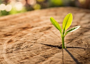 Binance Labs Will Give Crypto Startups $500K for 10% Stake