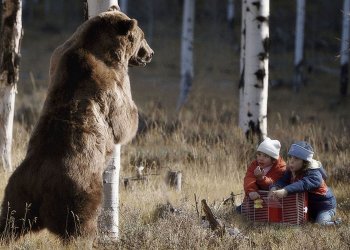 Bitcoin Price Analysis: Will the SEC Approve the ProShares Bitcoin-ETF?