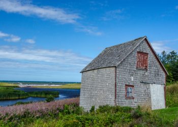 Canadian Ghost Town Gambles on Bitcoin for a New Chance at Life