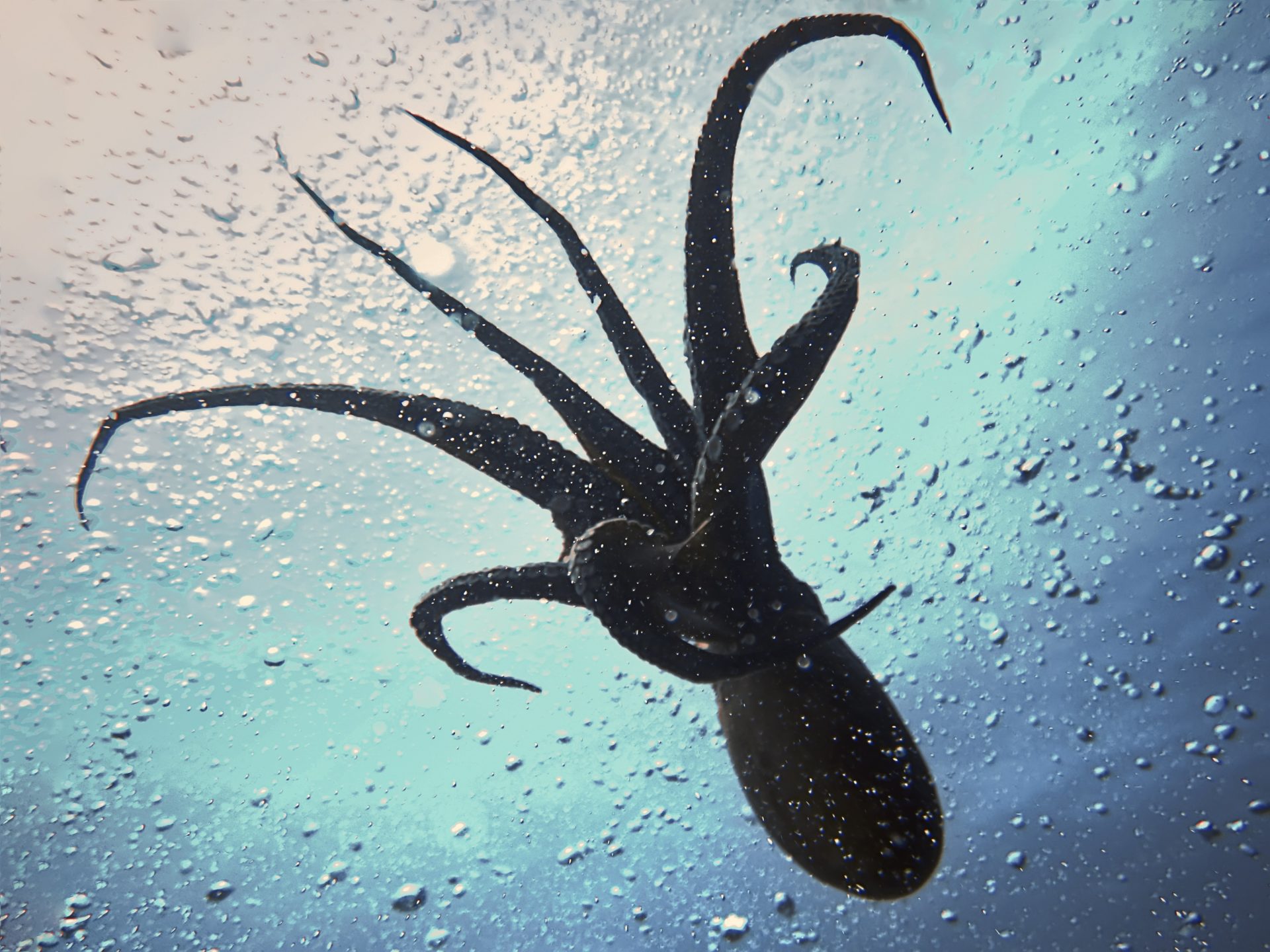 Kraken Introduces Block Trading OTC Option for Trades of $100,000 or More