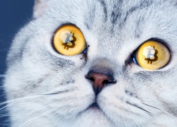 Decentralized Exchange Bisq Sets New Record Bitcoin Trading Volume