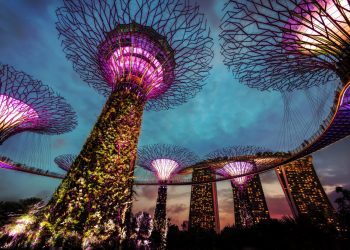 Singapore could embrace bitcoin first