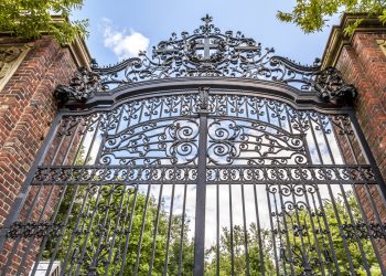 Universities Are Reluctant to Accept Crypto Donations