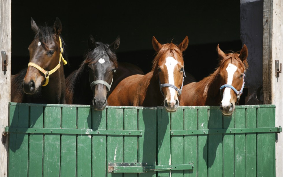 stablecoin stablecoins stable