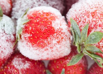 Square Open-Sources Subzero Bitcoin Cold Storage Solution