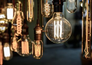 Crypto Investors Lean Towards Innovation and Novel Thinking