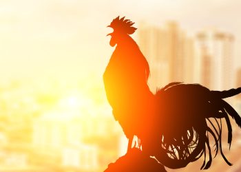 Nouriel Roubini Sounds off on Cryptocurrencies in Senate Hearing