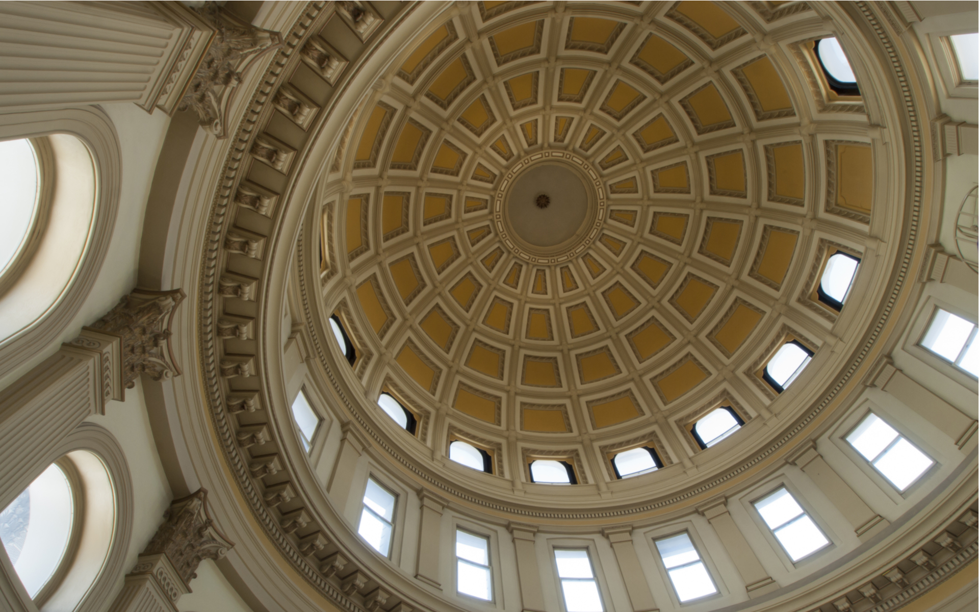 Colorado jared polis