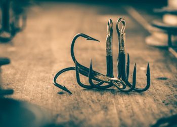 Pure Bit Bamboozles Investors in $2.7 Million ICO Exit Scam