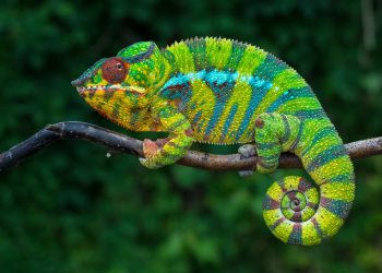 Meet Mattereum, a ‘Deeply Weird’ Startup, Hoping to Transform Smart Contracts