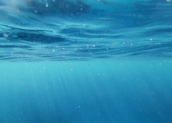 Many EOS Block Producers Are Underwater With Price Below $3